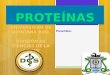 Proteínas. Sintesis de proteinas