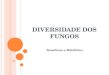 Doenças causadas por fungos