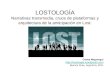 LOSTOLOGÍA. Capítulo sobre “Narrativas transmedia, cruce de plataformas y arquitectura de la anticipación en Lost” por Carina Maguregui
