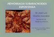 Hemorragia subaracnoidea espontanea