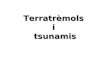 Terratrèmol tsunami japó_11.03.11 (pp_tminimizer)