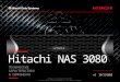 Файловое хранилище Hitachi NAS 3080. Спецификация