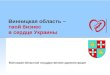 Vinnytsia investments (RU) 2010