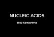 Lec20 Nucleic Acids