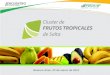 Cluster de Frutos Tropicales