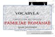 Familiae Romanae Vocabula (II)