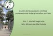 Análisis de las causas de pérdidas poscosecha de frutas y hortalizas en Cuba (Michely Vega León & Miriam Gordillo Orduño)