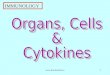 Cells organs & cytokines of the Immune system