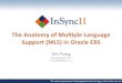 E-Business Suite 1 _ Jim Pang _ The anatomy of multiple language support (MLS) in Oracle EBS.pdf