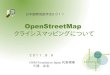日本国際地図学会  20110808　震災とジオメディア　
