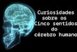 Curiosidades sobre os cinco sentidos do cérebro humano