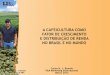 Palestra  Carlos Henrique Brando - P & A International Marketingabertura Agrocafé março2012