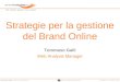 Tommaso Galli - BTO 2008 - Gestione Brand Online