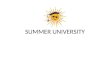 Summer university