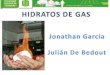 HIDRATOS DE GAS METANO (GAS HYDRATES)