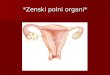 Anatomija ženskih polnih organa Savic Natalija
