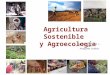 CUMBRE DE NAHUELBUTA - AGROALIMENTOS: Agricultura sustentable  Sr. Agustín Infante