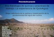 Riego deficitario de la Quinoa y modelización de la productividad del agua del cultivo _ GEERTS Sam y et al. - RM