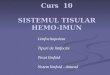 Curs 11-histo-limfopoieza-ly-sist-ly-timus
