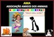 Associação dos Amigos dos Animais - AMA