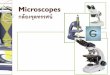 ชีววิทยา เรื่อง กล้องจุลทรรศน์ " Microscope"