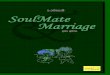 Soul mate marriage