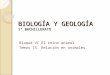 Biología y geología tema 15. relación en animales