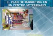 El plan de negocio en un centro veterinario
