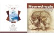 Neurocirugía Hoy, Vol. 3, Numero 7