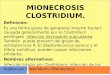 Mionecrosis Clostridium
