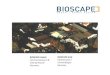 Instalaciones para experimentación con animales Bioscape. Mª del Carmén Viso