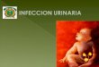 Infecci³n urinaria pediatrica