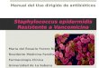 Manual de Uso Dirigido de Antimicrobianos: S. epidermidis Vancomicina resistente
