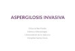 Aspergilosis invasiva
