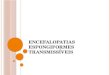Encefalopatias espongiformes transmissíveis