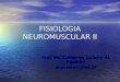 Fisiologia neuromuscular 01