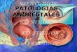 Patologia anorectales