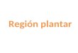 Region plantar