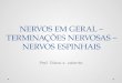 Nervos em geral – terminações nervosas – nervos espinhais