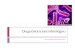 Diagnóstico microbiológico de tb