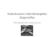 Tuberkulozes mikrobioloģiskā diagnostika