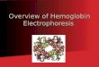 Hemoglobin Electrophoresis (Biochemistry)