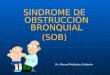 Sindrome De Obstruccion Bronquial