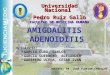 Amigdalitis Adenoiditis Fmh Unprg Tucienciamedic