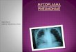 Mycoplasma Pneumoniae Italo Bioni