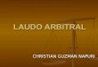 Christian Guzman Napuri Laudo Arbitral