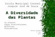 A diversidade das plantas