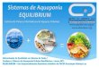 Sistemas de aquaponia   equilibrium