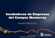 Incubadora De  Empresas  Campus  Monterrey