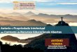 Semiário Recursos e Práticas Educacionais Abertas no Ensino Superior: desafios e oportunidades - António Teixeira